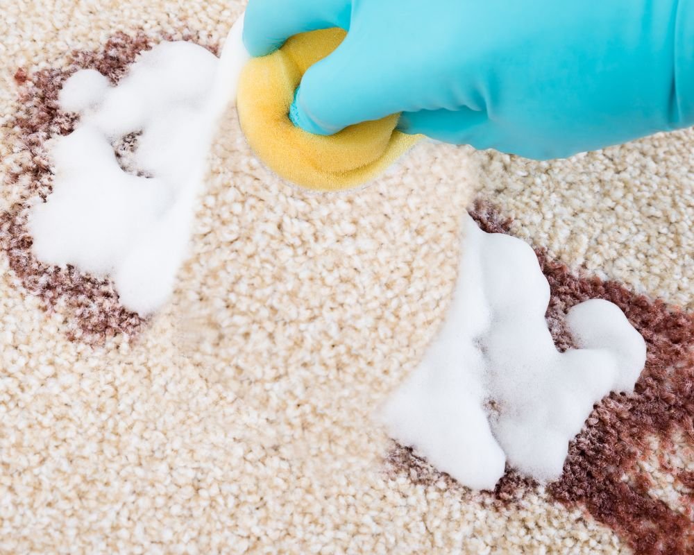 Why You Should Blot Carpet Spills Instead of Scrubbing