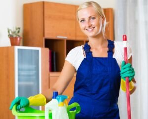 The Relationship Between Regular Cleaning and Pest Control
