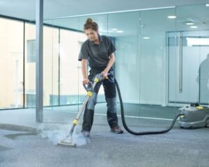 5 Interesting Things Commercial Cleaners Know About Carpet